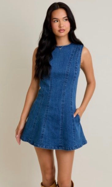 Sadie denim dress